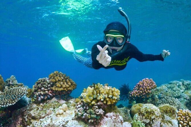 Blue Lagoon & Tanjung Jepun Snorkeling Private Tour - Key Points