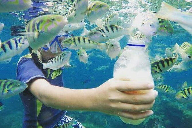 Blue Lagoon & Tanjung Jepun Snorkeling Private Tour - Frequently Asked Questions