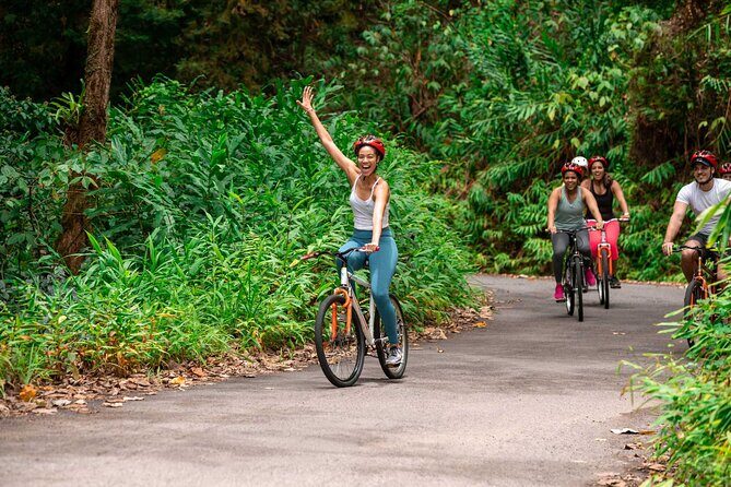 Blue Mountain Bicycle Tour - Discovering the Blue Mountain Bicycle Tour: An Honest Look