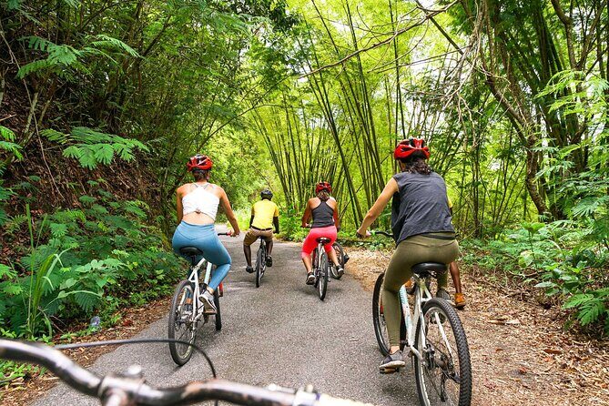 Blue Mountain Bicycle Tour - Key Points