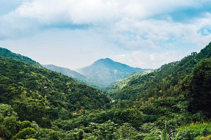 Blue Mountain Bicycle Tour - The Sum Up