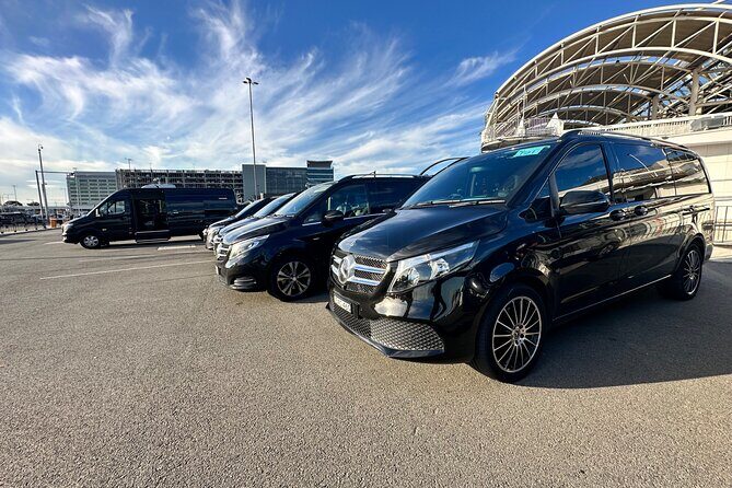 Blue Mountain Chauffeur Service - The Journey Begins: Pickup and First Stop at Featherdale Wildlife Park