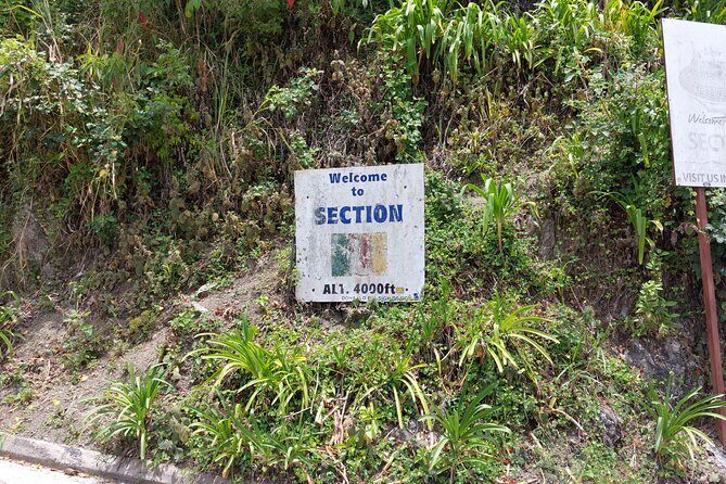 Blue Mountain Sight-Seeing & Nature Trail Hike with Private Guide - Final Thoughts: Is It Worth It?