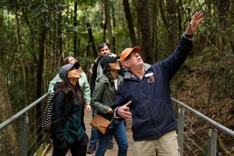 Blue Mountain Small Group Scenic World, Wildlife, Waterfall - Key Points