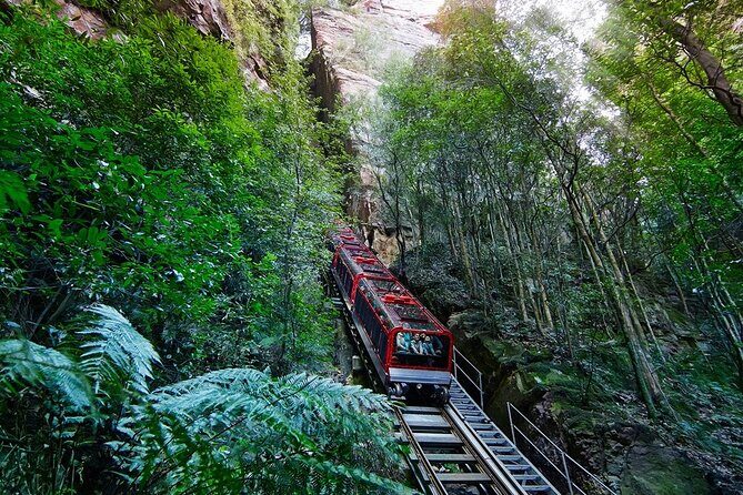 Blue Mountain Tour with Hop on and Hop Off Bus - FAQ