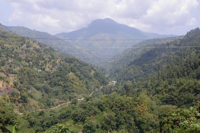 Blue Mountain Tour with Hotel Transportation - Key Points