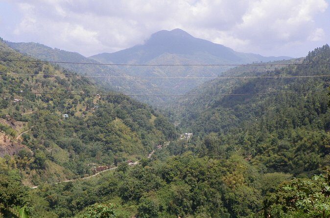Blue Mountain Tour with Hotel Transportation - Additional FAQs