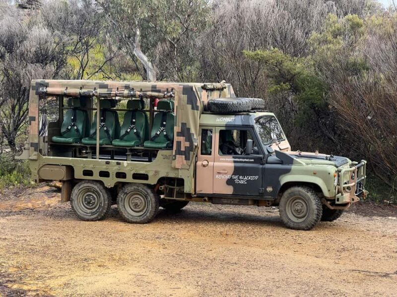 Blue Mountains 3 Hour Army Truck Adventures - An Authentic Blue Mountains Experience in a Rugged Vehicle
