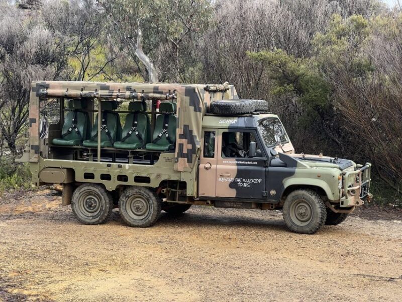 Blue Mountains 3 Hour Army Truck Adventures - The Intimate Group Setting and Its Impact