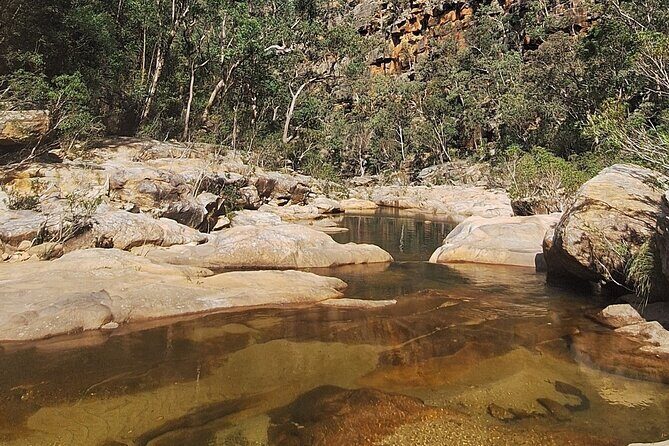 Blue Mountains 3 Hour Guided Eco Tour - close to Sydney - Key Points
