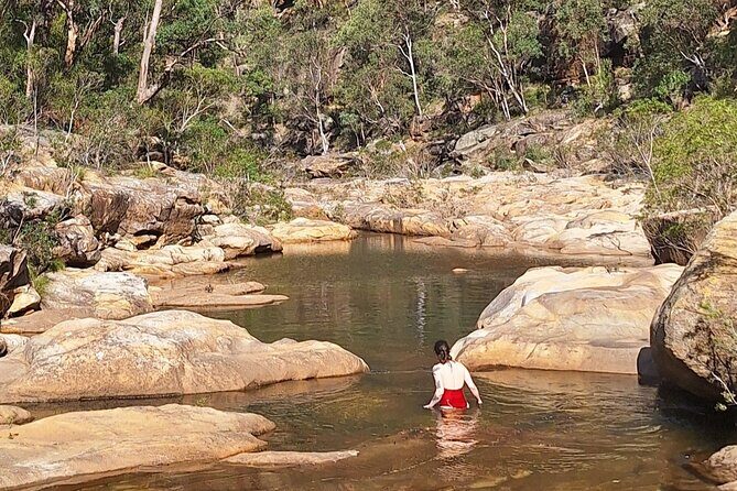 Blue Mountains 3 Hour Guided Eco Tour - close to Sydney - An In-Depth Look at the Tour Itinerary
