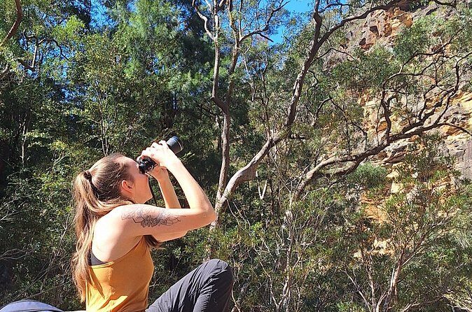 Blue Mountains 3 Hour Guided Eco Tour - close to Sydney - Final Thoughts: Is This Tour Worth It?