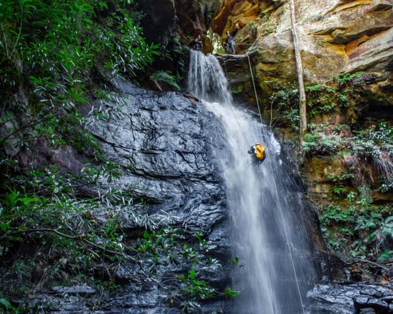 Blue Mountains: Abseiling and Canyoning Experience - The Practical Details