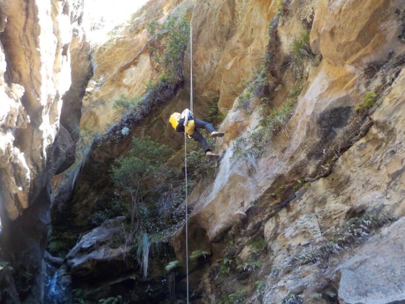Blue Mountains: Abseiling and Canyoning Experience - Authentic Experiences from Travelers