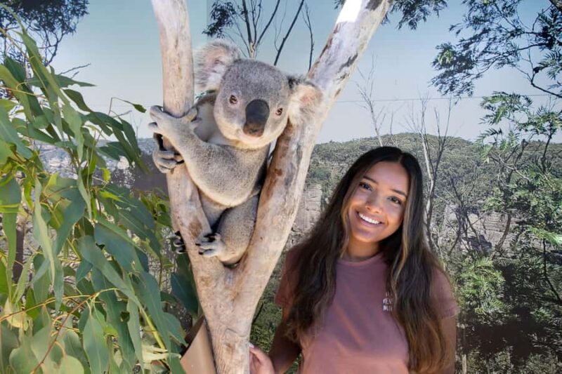 Blue Mountains Adventure: Scenic World, Zoo & Koala Photo - Australian Wildlife at Sydney Zoo