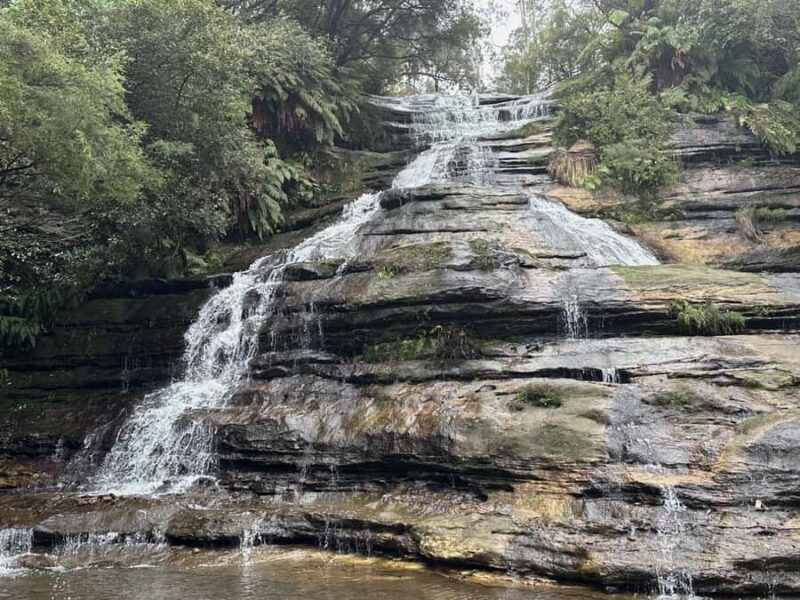 Blue Mountains Adventure: Scenic World, Zoo & Koala Photo - Transportation, Timing, and Value
