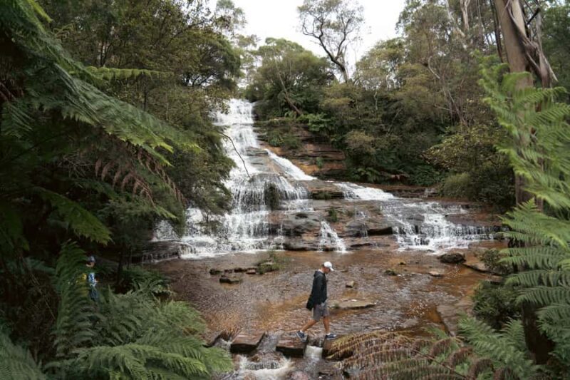 Blue Mountains Adventure: Scenic World, Zoo & Koala Photo - FAQ
