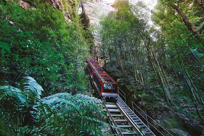 Blue Mountains Adventure w Scenic World, Zoo, Koala Photo & Ferry - Key Points