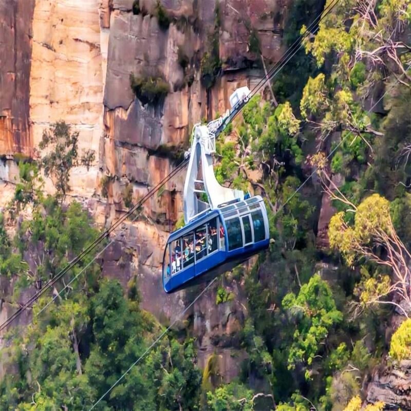 Blue Mountains Adventure: Wild Boar Rock & Cable Car - Key Points