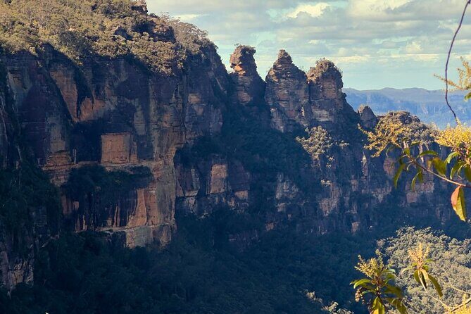 Blue Mountains and Australian Native Animals - An In-Depth Look at the Tour Experience