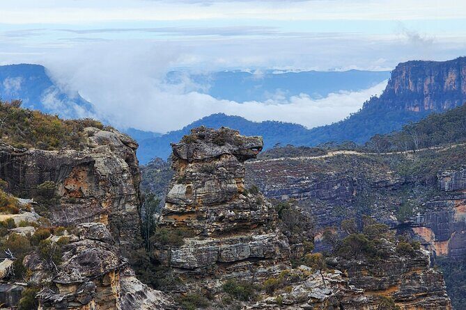Blue Mountains and Wildlife Truly Private Luxury Tour - Authentic Encounters and Reviews