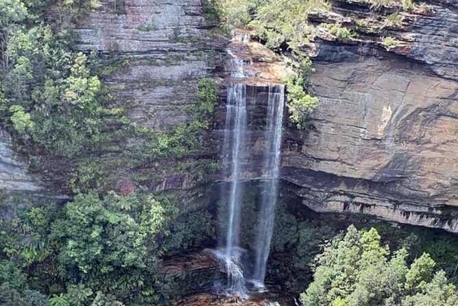 Blue Mountains and Wildlife Truly Private Luxury Tour - The Sum Up