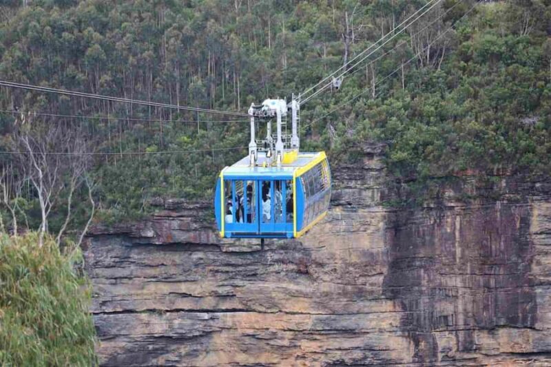 Blue Mountains: Bespoke Private Day Tour from Sydney - Afternoon Choices: Walk, Explore, or Relax