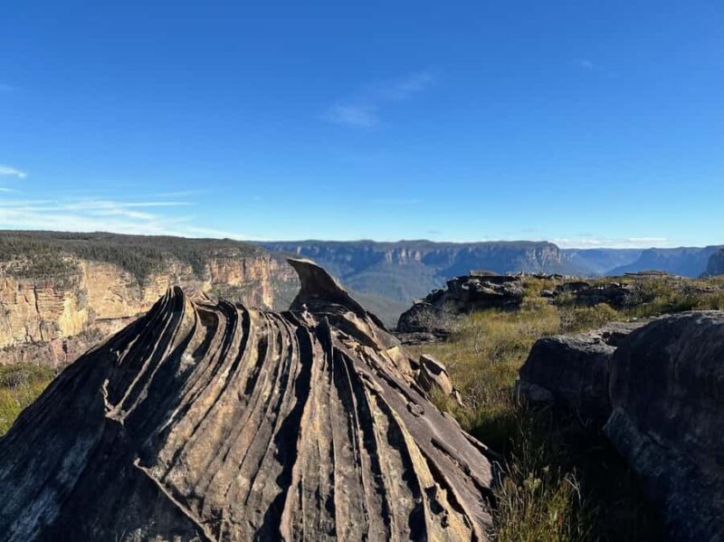 Blue Mountains: Butterbox Point Guided Hike - A Closer Look at the Experience