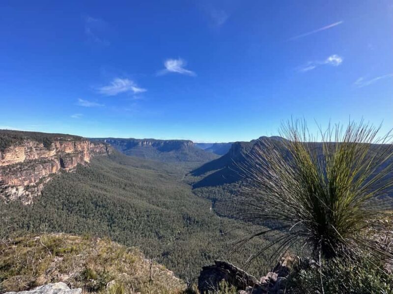 Blue Mountains: Butterbox Point Guided Hike - The Sum Up: Why Choose the Butterbox Point Guided Hike?