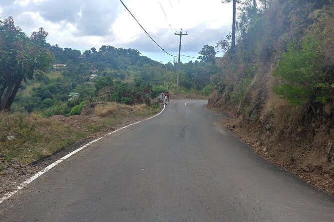 Blue Mountains Coffee Private Tour from Kingston - The Sum Up