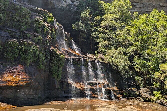 Blue Mountains Day Tour : Featherdale & Bush walk (15 ppl LUX) - Who Will Love This Tour?