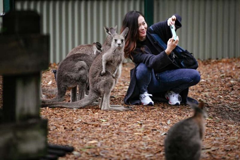 Blue Mountains Day Tour -Featherdale & Scenic World (15 MAX) - An In-Depth Look at the Experience