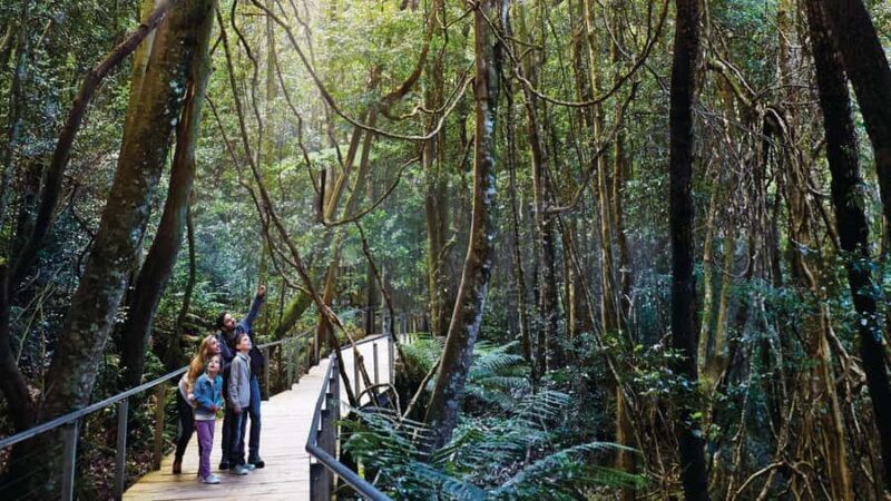 Blue Mountains Day Tour -Featherdale & Scenic World (15 MAX) - FAQs