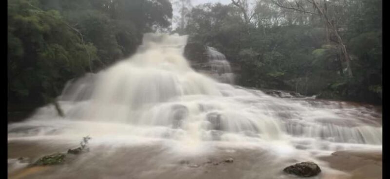 Blue Mountains day tour with Cruise, Scenic world pass & Zoo - Key Points