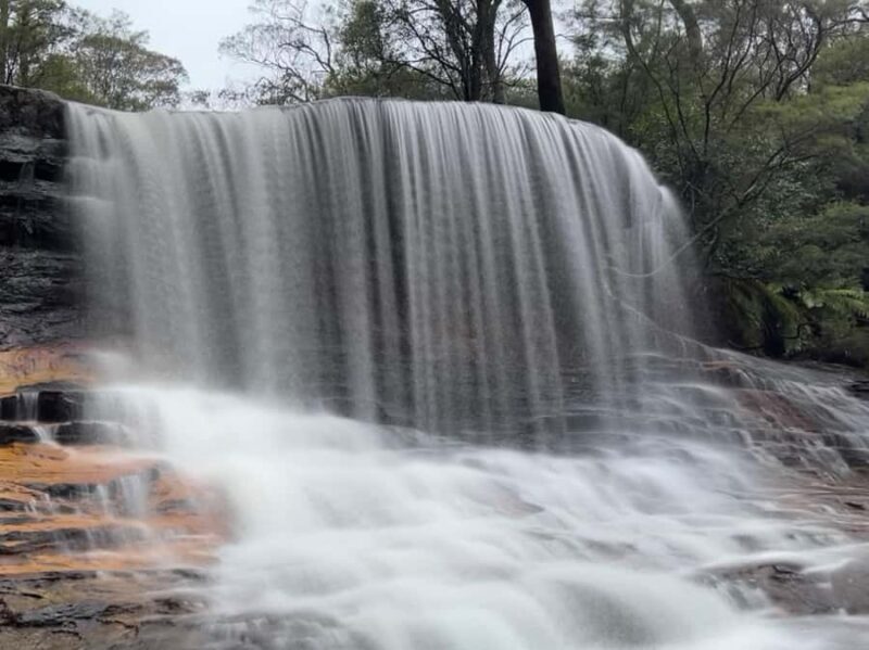 Blue Mountains day tour with Cruise, Scenic world pass & Zoo - Beginning the Journey: From Sydney to the Blue Mountains