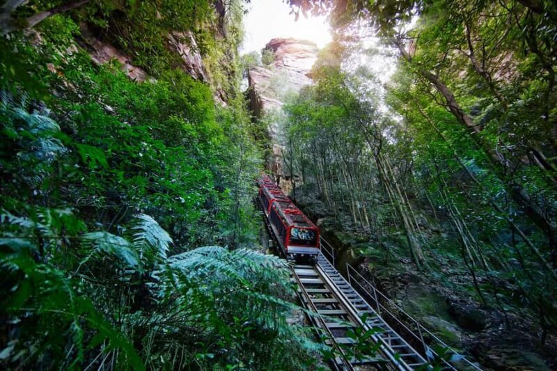 Blue Mountains day tour with Cruise, Scenic world pass & Zoo - Charming Leura and Katoomba