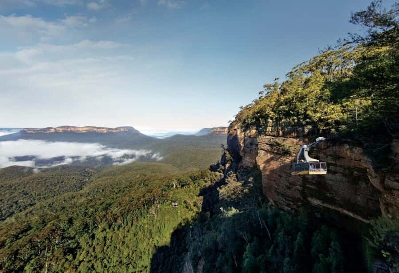 Blue Mountains day tour with Cruise, Scenic world pass & Zoo - Who Is This Tour Best For?