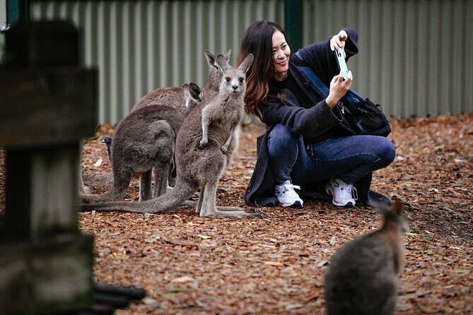 Blue Mountains Day Tour with Scenic World and Wildlife Park Entry - Frequently Asked Questions