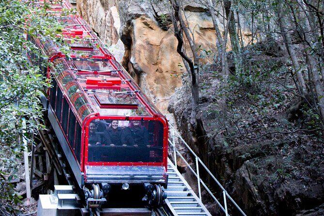Blue Mountains Day Tour with Wildlife, Walks and Scenic World - An In-Depth Look at the Blue Mountains Day Tour