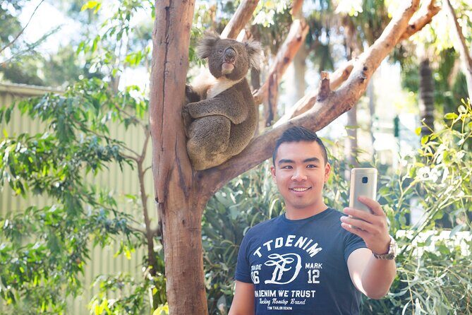 Blue Mountains Day Tour with Wildlife, Walks and Scenic World - What the Reviews Say
