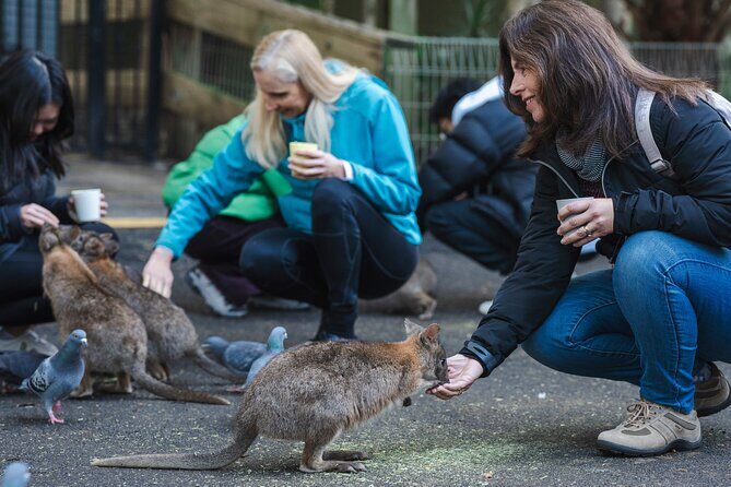 Blue Mountains Day Tour with Wildlife, Walks and Scenic World - Frequently Asked Questions
