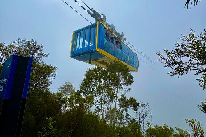Blue Mountains Day Tours W Scenic World and Lunch - An Overview of the Blue Mountains Day Tour