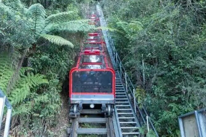 Blue Mountains Exclusive Private Tour - FAQs