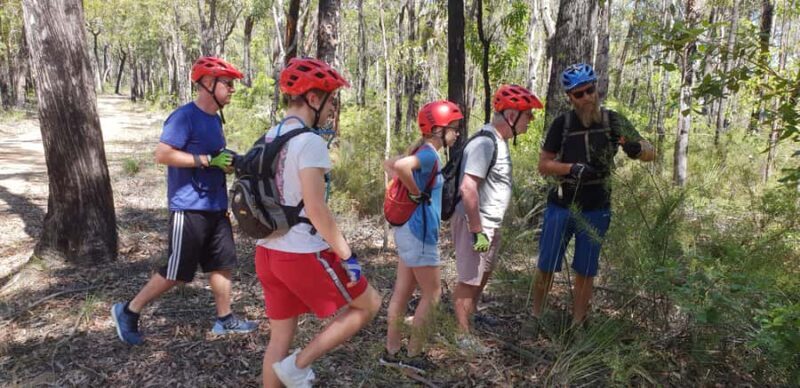 Blue Mountains: Guided Mountain e-Bike Tour, Blue Labyrinth - What to Expect During the Ride