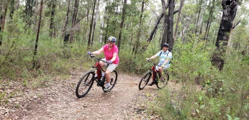Blue Mountains: Guided Mountain e-Bike Tour, Blue Labyrinth - Practical Details and Value