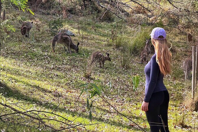Blue Mountains Helicopter and 4WD Eco Tour Experience - Final Thoughts