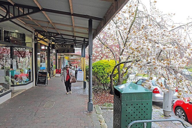 Blue Mountains Highlights, Wildlife Park and Scenic World Full Day Private Tour - FAQ