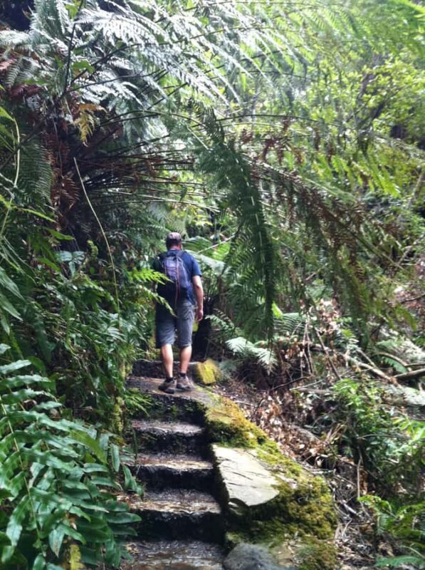 Blue Mountains: Inside a World Heritage National Park - Hidden Gems and Less-Traveled Trails