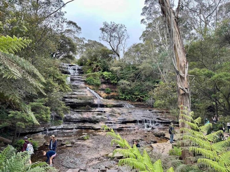 Blue Mountains: Inside a World Heritage National Park - The Return Journey