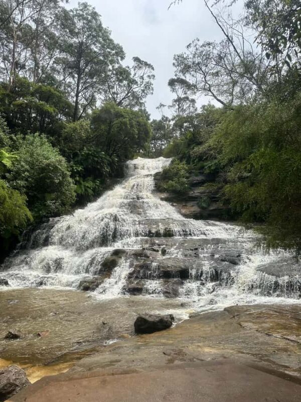 Blue Mountains: Katoomba Cascades & Falls Guided Hike - An In-Depth Look at the Katoomba Cascades & Falls Guided Hike